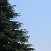微笑星空3a6头像