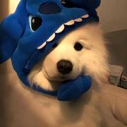 神明佑我的个人资料头像