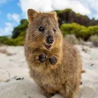 用户7144256838076头像