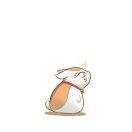 漾漾同志的个人资料头像