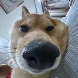 用户1449621447455头像