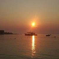 高老二的酒头像