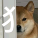 祝老板生五个儿子头像