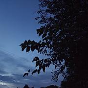 fff855的个人资料头像