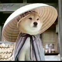 用户4838818126645头像