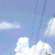 孔子听讲座的个人资料头像