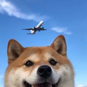 huangxuewei的个人资料头像