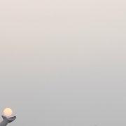 继续打呼的个人资料头像