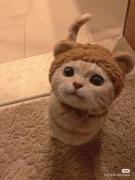 酸奶别加热的个人资料头像