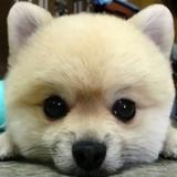 緣來有愛头像