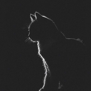 啊寥叽的个人资料头像