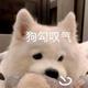 实习水生地头像
