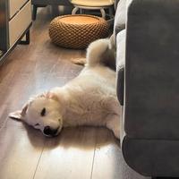 闲着丶没事头像