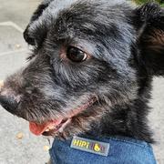 skyjilygao的个人资料头像