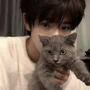 wlll的个人资料头像