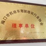 海南学车头像