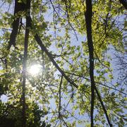 代码狂魔_洋的个人资料头像