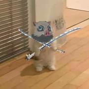 所剩无几的个人资料头像