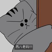 阿虾不是咸鱼的个人资料头像