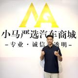 曾志伟小马汽车头像