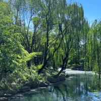 简单饭团YXW头像