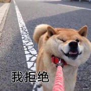 urjean的个人资料头像