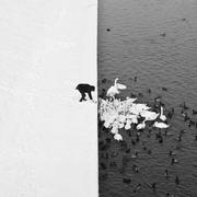 荒唐菩萨的个人资料头像