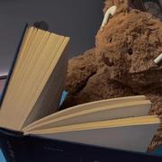 wubba_lubba的个人资料头像