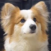 用户6695138128045的个人资料头像