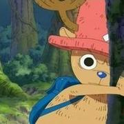 璀璨387的个人资料头像