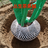 聚源苗木头像