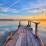 黑小142356315头像