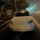三观超正的预言帝头像