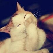 请叫我名字的个人资料头像