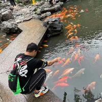 高贵花猫0MI头像