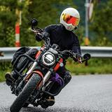 大锤不是锤子啊头像