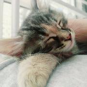 用户2152626709973的个人资料头像