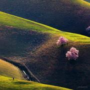 jsj123000的个人资料头像