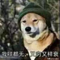 大师兄3849头像