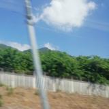 羊毛出在牛身上6Yim头像