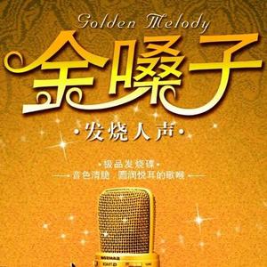 经典人声音乐合集头像