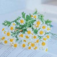 讲故事的Augustine头像