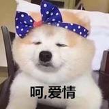 拉灯沧海头像