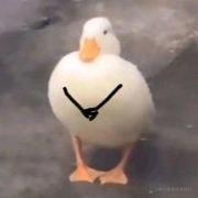 八块两毛半的个人资料头像