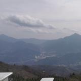 無雙無阬头像
