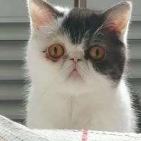 用户5934052936250头像