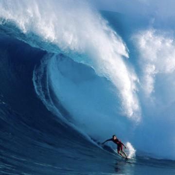 文体两开花23头像