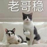 快乐蛋散头像