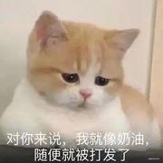 白月光和朱砂痣的个人资料头像