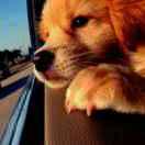 阿冷sun的个人资料头像